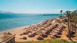 nubian island 5 египет шарм эль шейх
