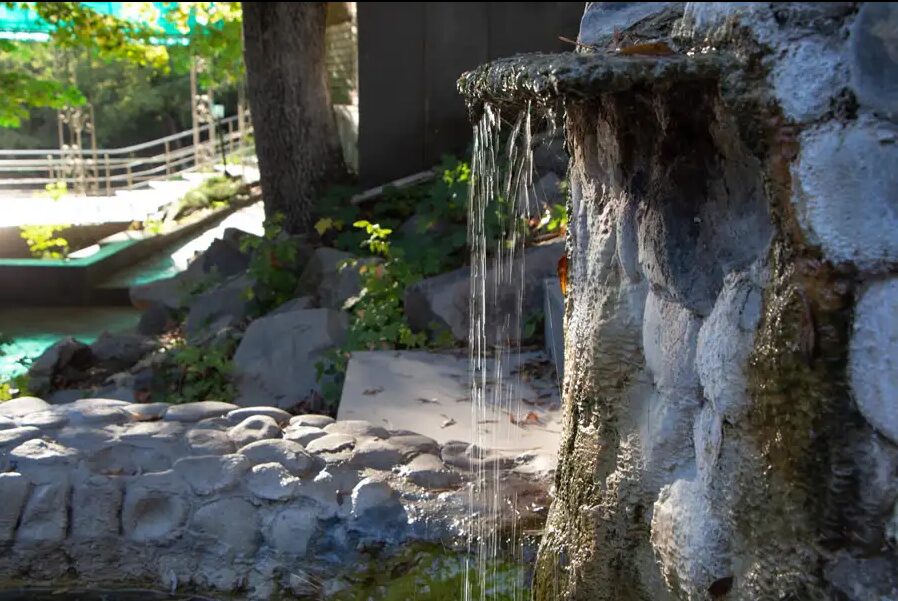 тур кавказские минеральные воды